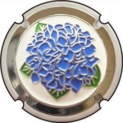 Dubois Pierre - Hortensias - Fleur bleu