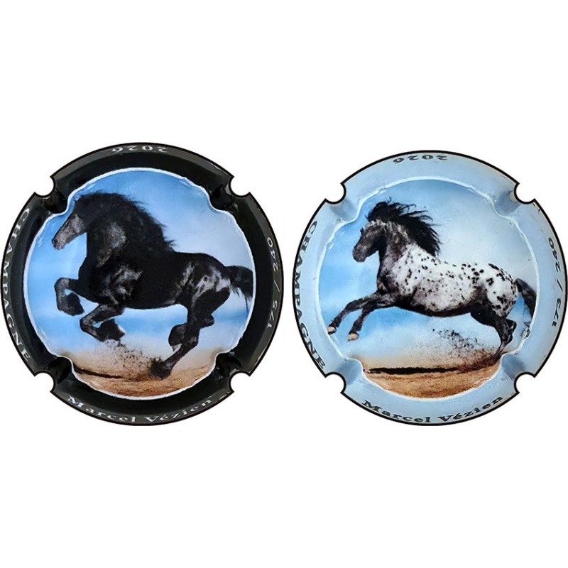 Marcel-Vezien-Cheval-contour bleu-clair -num SERIE