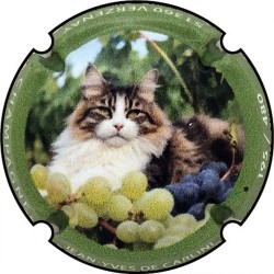 De Carlini Jean-Yves- n°61 serie chat vigne