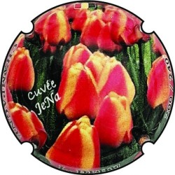 Kopie von Kopie von Kopie von Kopie von Kopie von Kopie von Kopie von Kopie von Kopie von Kopie von Kopie von Albert de Cervin -