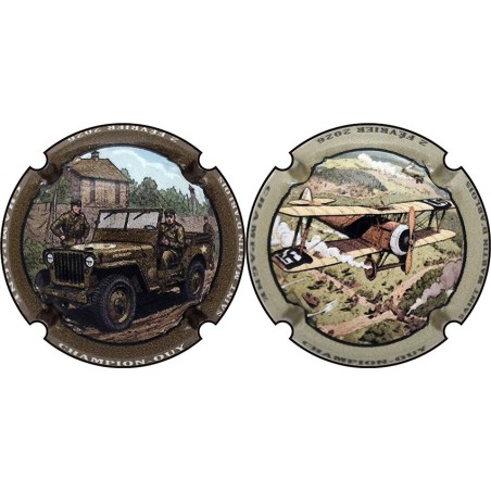 Kopie van Kopie van Kopie van Kopie van Kopie van Albert de Cervin - n°52aa