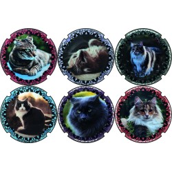 Hirault-Cassan- n°A2 à n°A2e