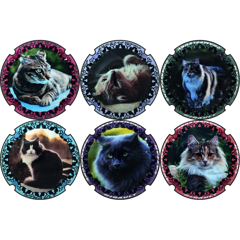 Hirault-Cassan- n°A2 à n°A2e