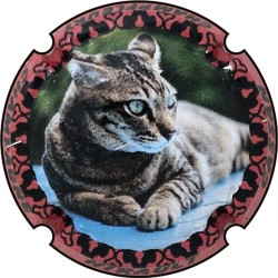 Kopie von Kopie von Kopie von Kopie von Kopie von Kopie von Kopie von Kopie von Albert de Cervin - n°52aa