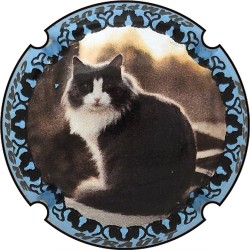 Kopie von Kopie von Kopie von Kopie von Kopie von Kopie von Kopie von Kopie von Albert de Cervin - n°52aa