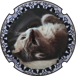 Kopie von Kopie von Kopie von Kopie von Kopie von Kopie von Kopie von Kopie von Albert de Cervin - n°52aa