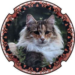 Hirault-Cassan- n°A2 à n°A2e