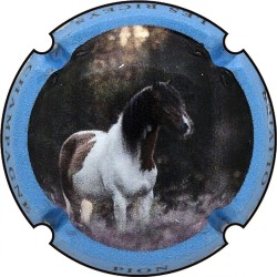 Kopie van Kopie van Kopie van Kopie van Kopie van Kopie van Kopie van Kopie van Kopie van Albert de Cervin - n°52aa