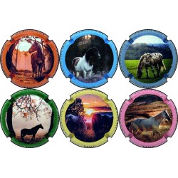 Pion Olivier- n°A3 à n°A3e