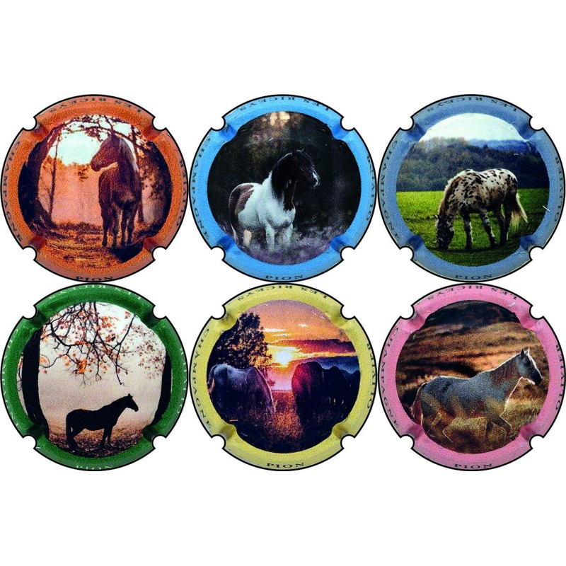 Pion Olivier- n°A3 à n°A3e