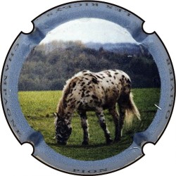 Kopie van Kopie van Kopie van Kopie van Kopie van Kopie van Kopie van Kopie van Kopie van Albert de Cervin - n°52aa