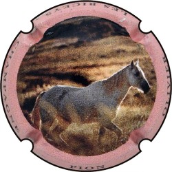 Kopie van Kopie van Kopie van Kopie van Kopie van Kopie van Kopie van Kopie van Kopie van Albert de Cervin - n°52aa