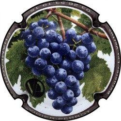 Kopie von Kopie von Kopie von Kopie von Kopie von Albert de Cervin - n°52aa