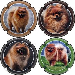 Kopie van Kopie van Kopie van Kopie van Kopie van Kopie van Kopie van Kopie van Kopie van Kopie van Kopie van Kopie van Kopie va