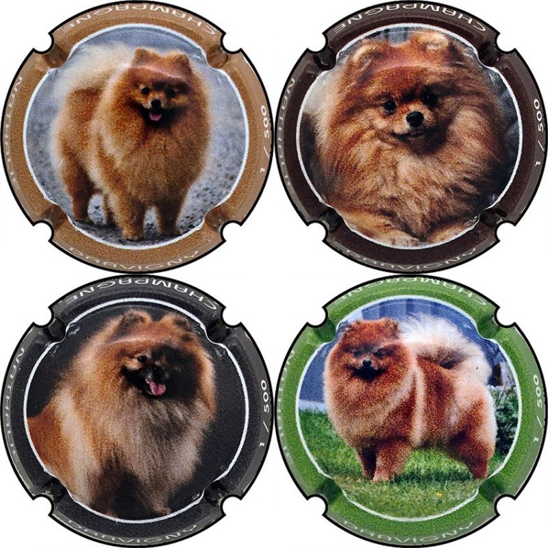 Kopie van Kopie van Kopie van Kopie van Kopie van Kopie van Kopie van Kopie van Kopie van Kopie van Kopie van Kopie van Kopie va