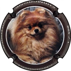 Kopie van Kopie van Kopie van Kopie van Kopie van Kopie van Kopie van Kopie van Kopie van Kopie van Kopie van Kopie van Kopie va