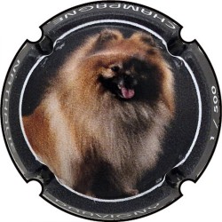 Kopie van Kopie van Kopie van Kopie van Kopie van Kopie van Kopie van Kopie van Kopie van Kopie van Kopie van Kopie van Kopie va