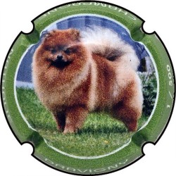 Dravigny Nathalie n°A polychrome chien série de 4