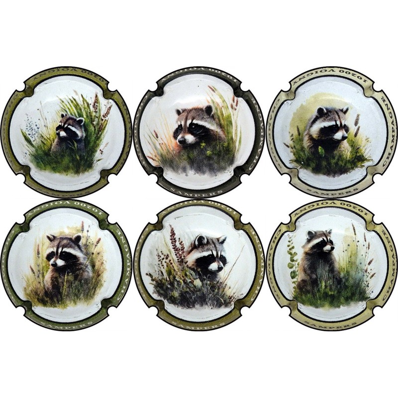 Sampers Claude n°A RATON LAVEUR